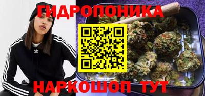 jwh Нальчик